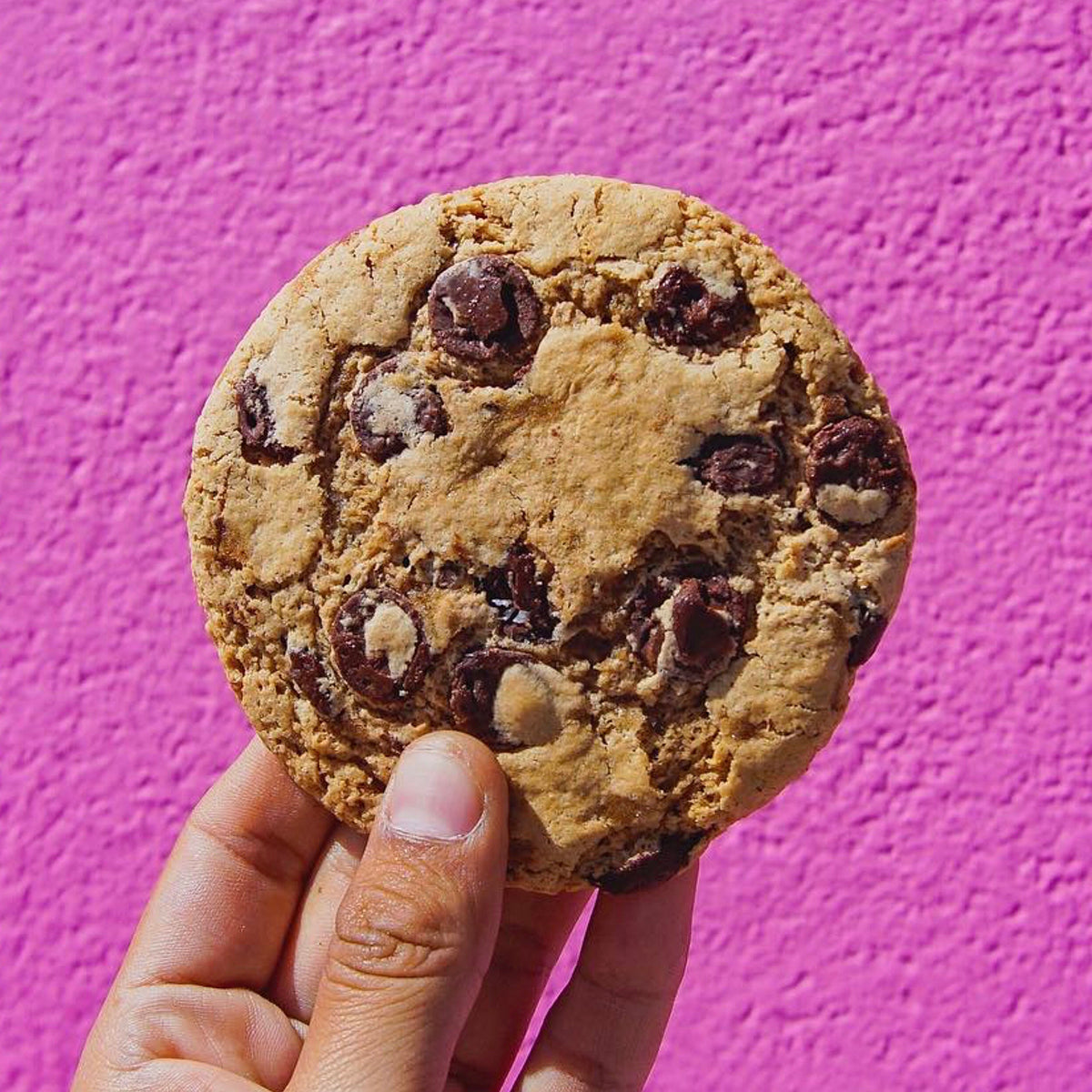 Chocolate Chip Cookies