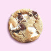 Ooey Gooey S'mores Cookies