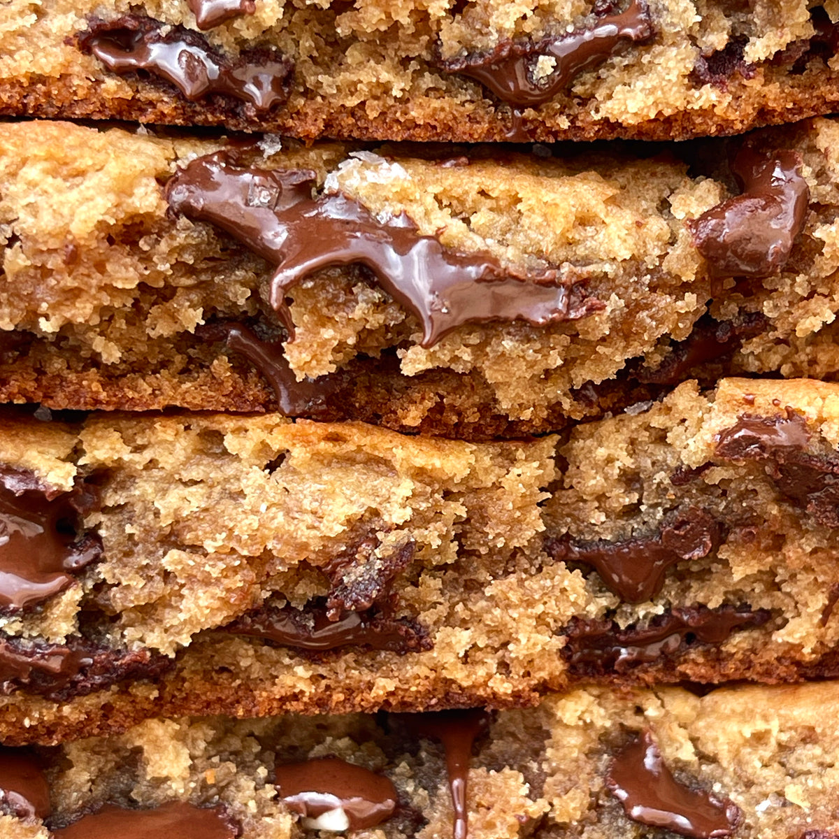 Peanut Butter Chocolate Chip Cookies